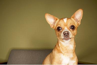 PS3和PSV新固件更新现已禁止玩家创建新PSN账号